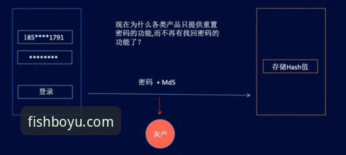 博鱼app官网登录方式全面评测：从注册到密码找回的深度分析